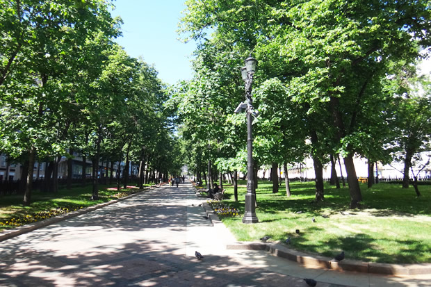 ロシアの夏